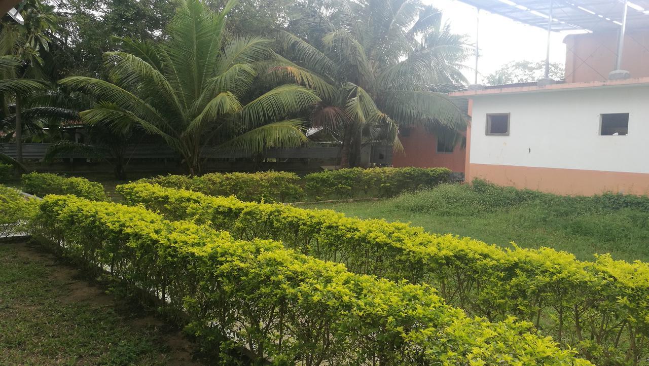 Friends Paradise Kilinochchi Extérieur photo